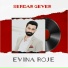 Serdar Gever