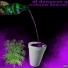 dj dxngxxn g