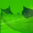 Кошачья музыка гостиная