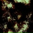 nitroasus