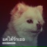 9EyreDimensions