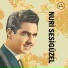 Nuri Sesigüzel