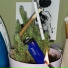 MUSCARI