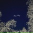 Alksy
