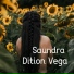Dition Vega