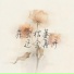 沈亦风