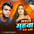 Yadav Kaushal Deewana