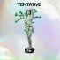 Tentative