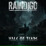 Raindigo