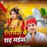 Manoj Singh Tiger