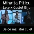 Mihaita Piticu feat. Lele, Costel Biju