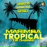 Marimba Tropical De Chiapas