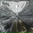 Weeka