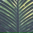Nature Recordings, Massage Tribe, Yoga