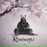 Roninxyli