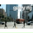 Gavy NJ