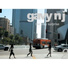 Gavy NJ