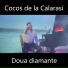 Cocos de la Calarasi