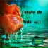 Fuente De Vida