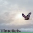 TimeRels