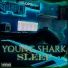 YOUNG SHARK