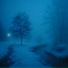 nleave, wintercat