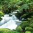 曹依振