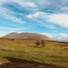 Haflidi Arnar