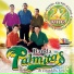 Banda Las Palmitas De Zirandaro Guerrero