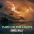 Daniel Mally