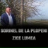 Sorinel de la Plopeni