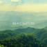 Relaxing Nature Sounds Collection