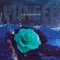 YUNGEE