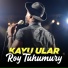 Roy Tuhumury