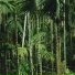 Chillhop