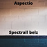 Aspectio feat. Luigi D'Ambruoso