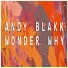 Andy Blakk