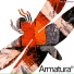 Tim Jackman