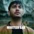 morteza bab