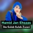 Hamid Jan Ehsaas