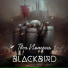 Blackbird
