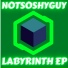 NotSoShyGuy