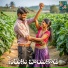 Devatha sudhakar