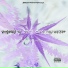 Castro, CTW G-Money