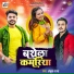 Ankush Raja, Shilpi Raj