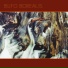 Bufo Borealis