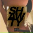SVN