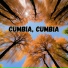 Son Andino, Grupo Caminata