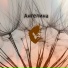 LovVing