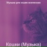 Музыка для кошек вселенная